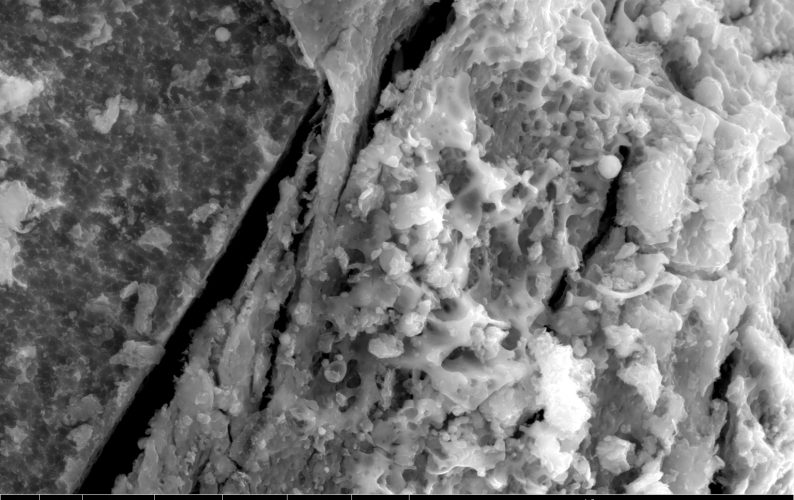 Secondary and backscattered electron images of Ryugu grains showing surface modifications related to space weathering.