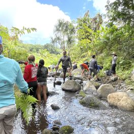 Students and instructors clearing the stream at Papahana.