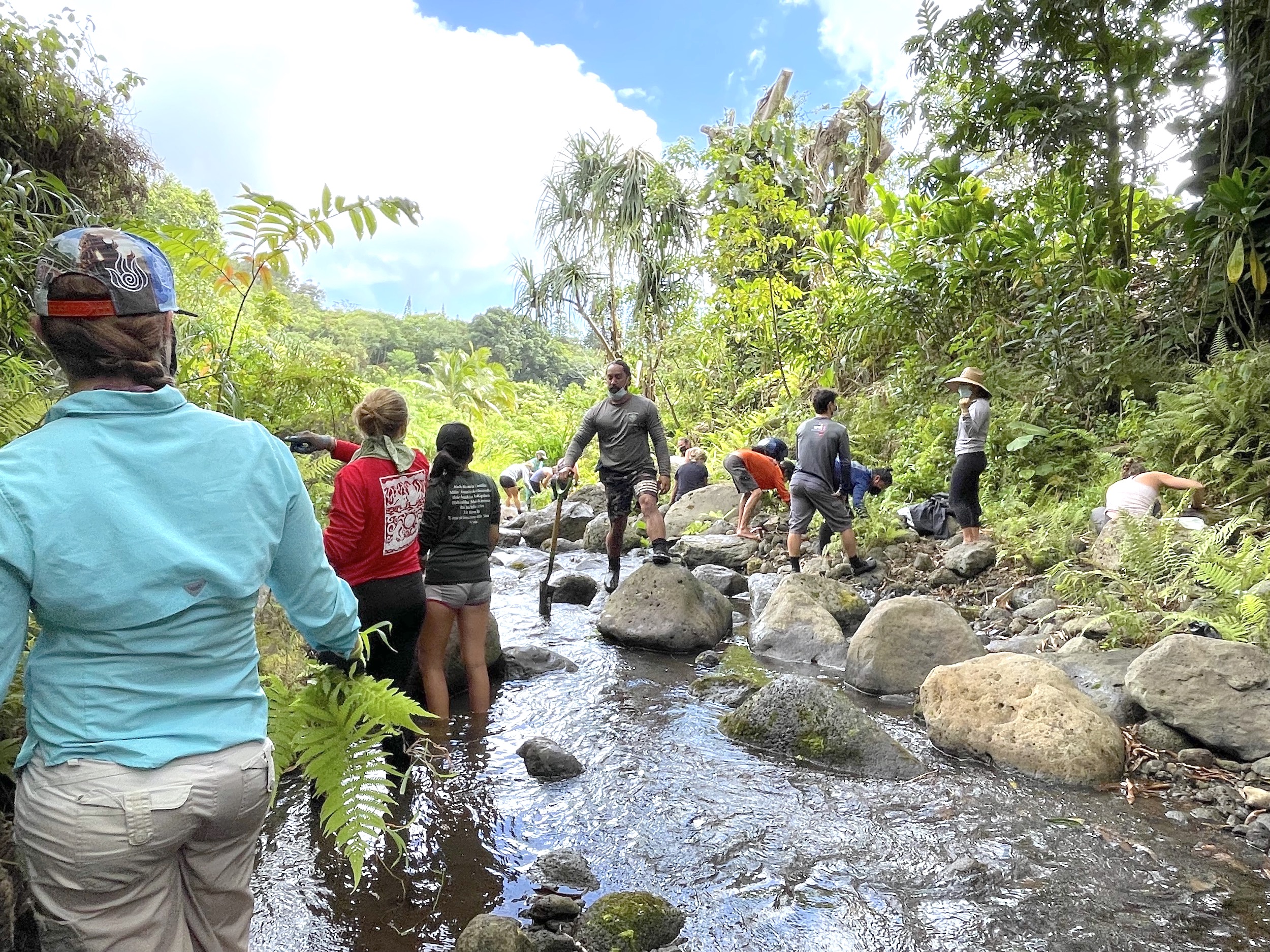 Students and instructors clearing the stream at Papahana.