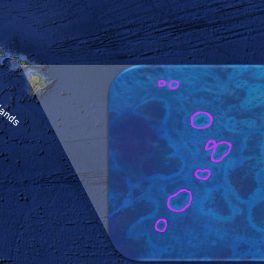 Example of reef halos around Hawaiian Islands as observed from satellite images.
