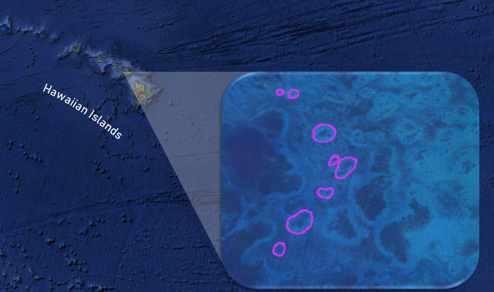 Example of reef halos around Hawaiian Islands as observed from satellite images.
