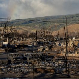 A rainbow is seen from Pu'u Kukui mountain over burned cars and buildings in Lahaina, Hawai‘i, on Aug. 13, 2023.