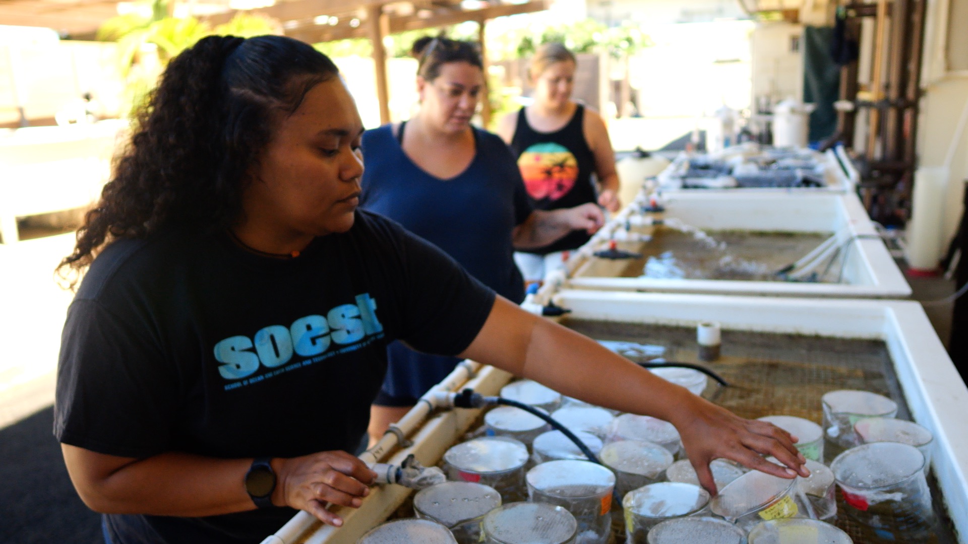 Alexi Meltel, doctoral student at Kewalo Marine Lab at a table holding water and research samples.