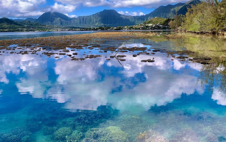 Coral Reef off the coast of Coconut Island in Kāneʻohe, mountains and clouds in the background.