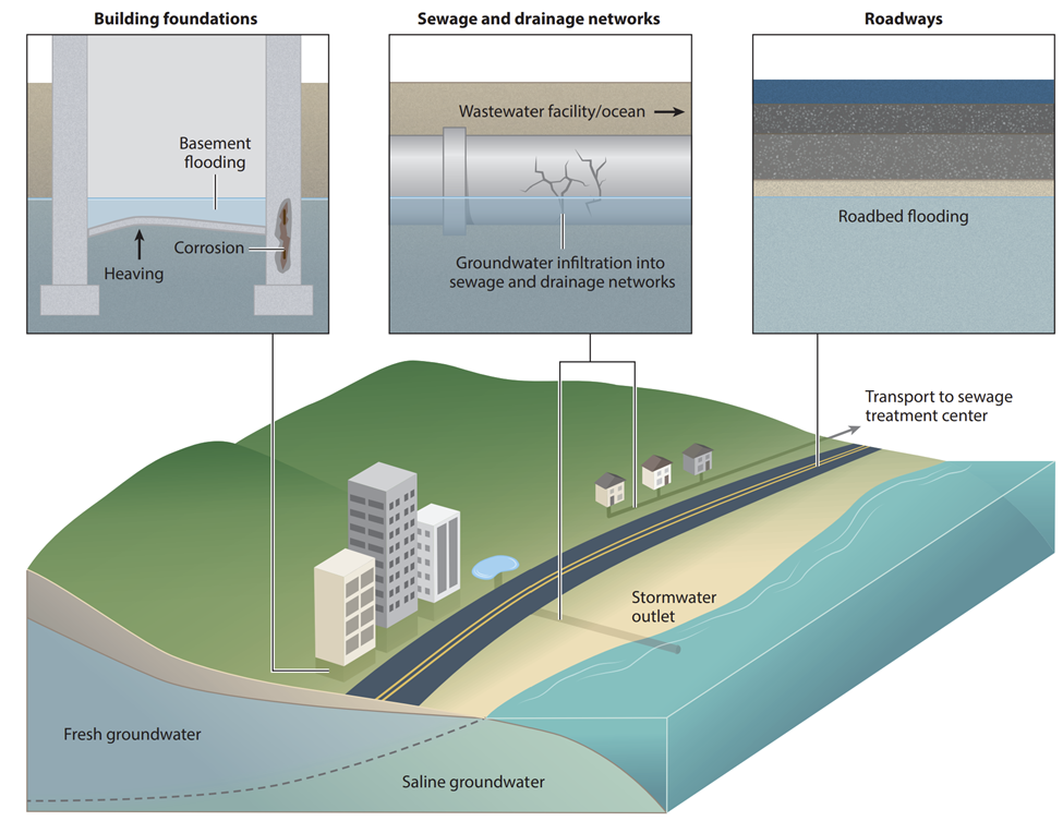 Graphic: Groundwater inundation and resulting structural impacts on various types of submerged and low-lying infrastructure such as building foundations, sewage and drainage networks, and roadways.