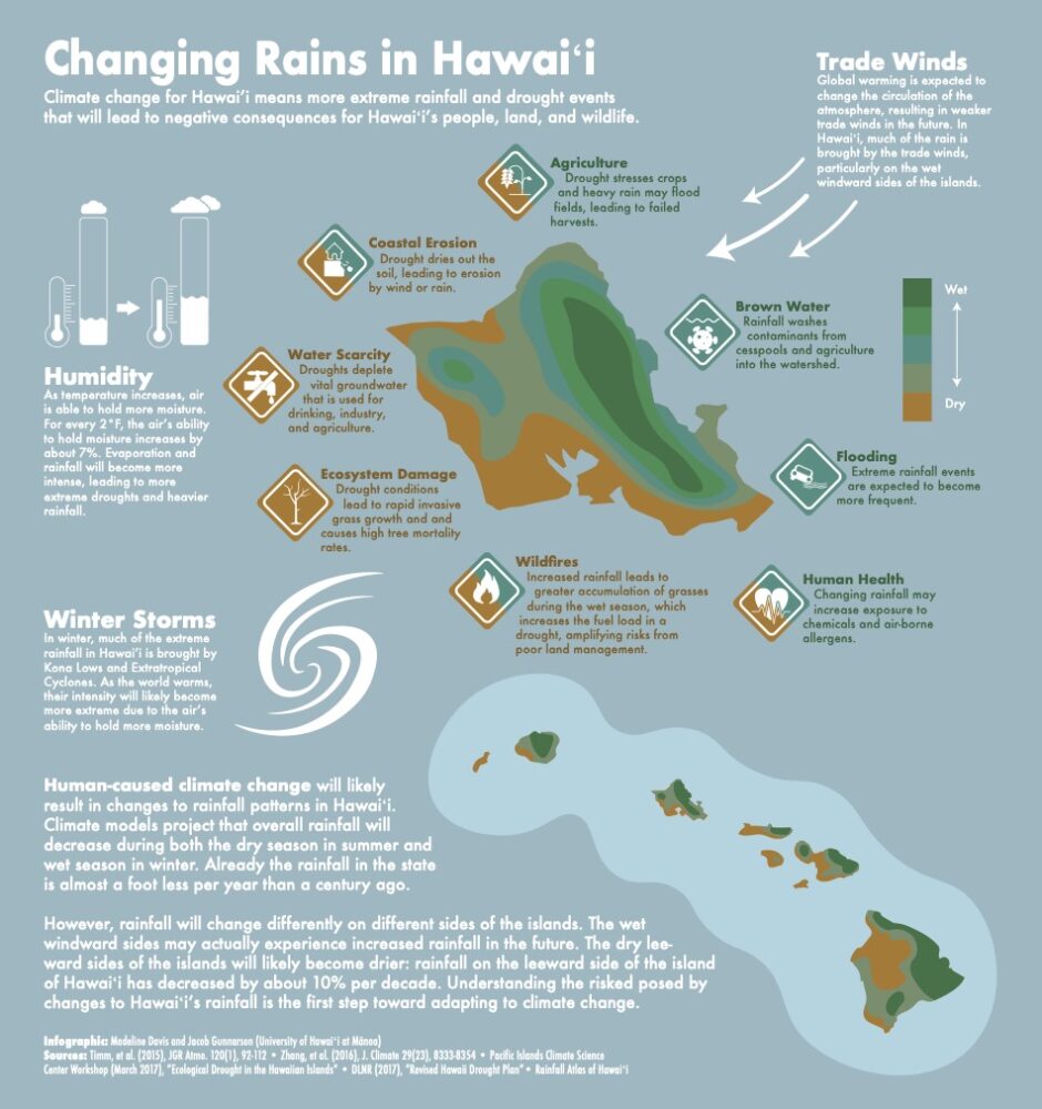 Infographic of impact of changing rain patterns in Hawai'i including water scarcity, flooding and drought stress on agriculture.