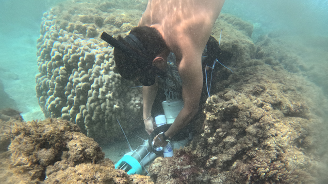 A diver with snorkel deploys an autosampler in a small sand patch surrounded by coral heads