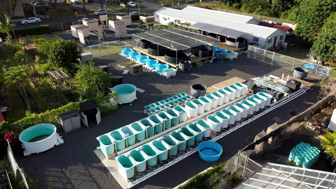 Aerial view of TAREC.