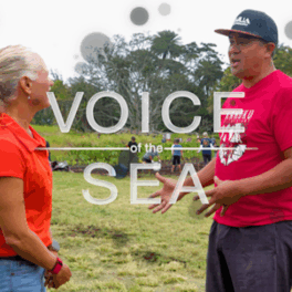 Two people talk in the foreground with students working in a lo'i (taro patch) in the background